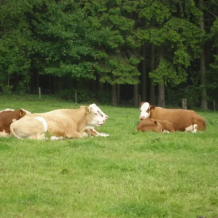 Hoppe Vakantieboerderij Wildewiese
