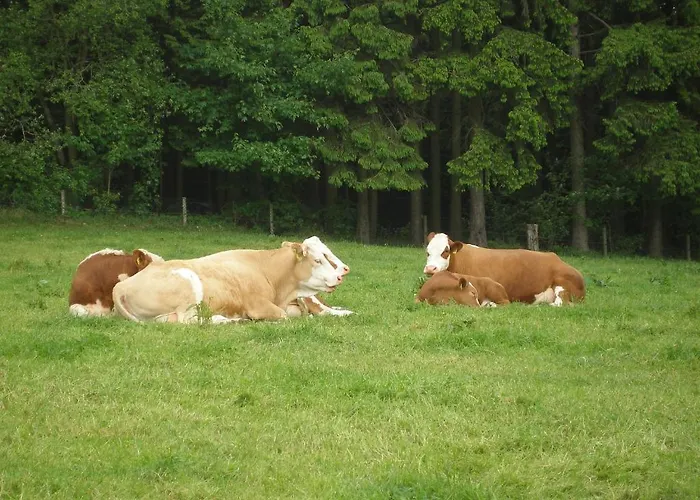 Hoppe Bauernhof Wildewiese